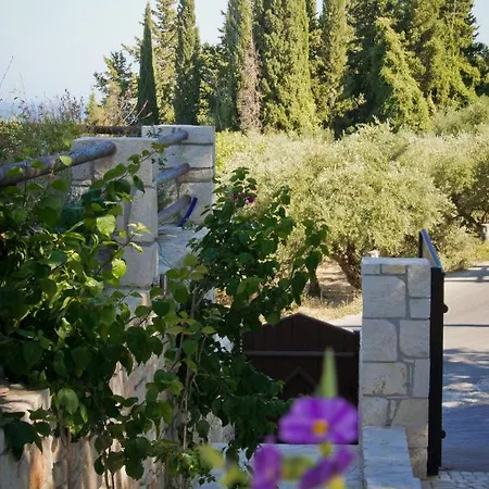 Villa Amorosa